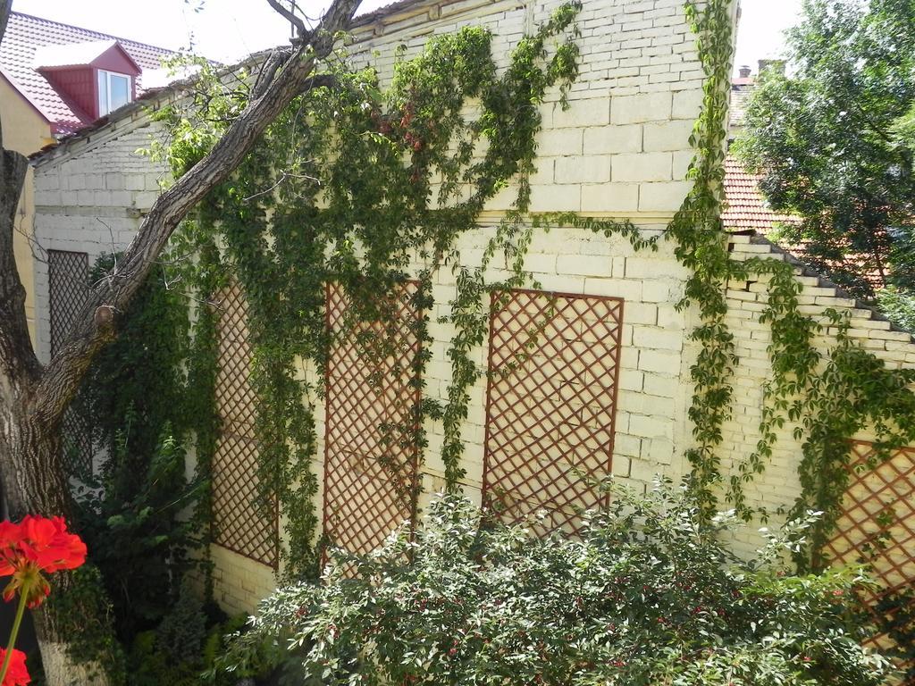 Central Cluj Apartment Exterior photo